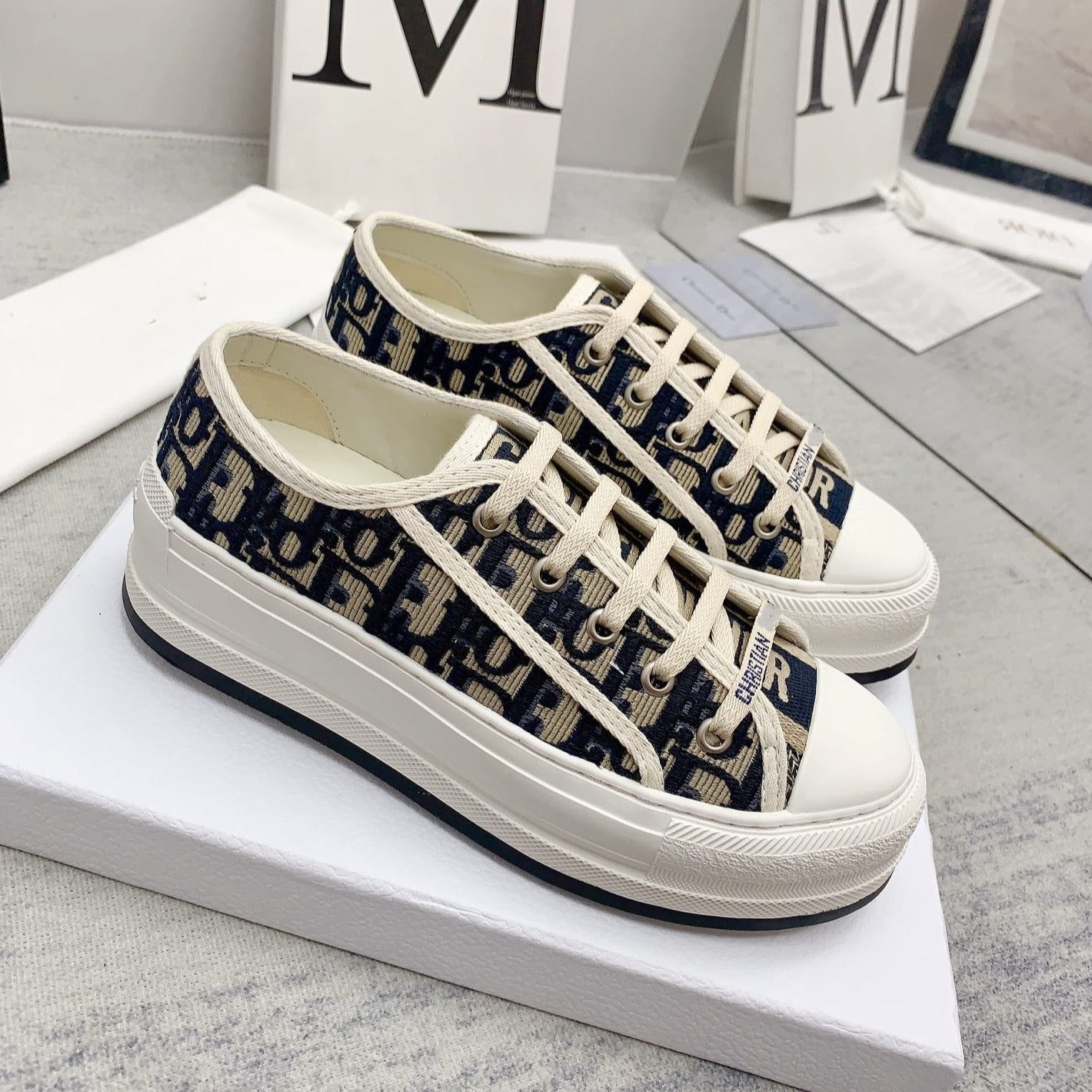 DIOR walkn 45 beige blue oblique embroidery canvas