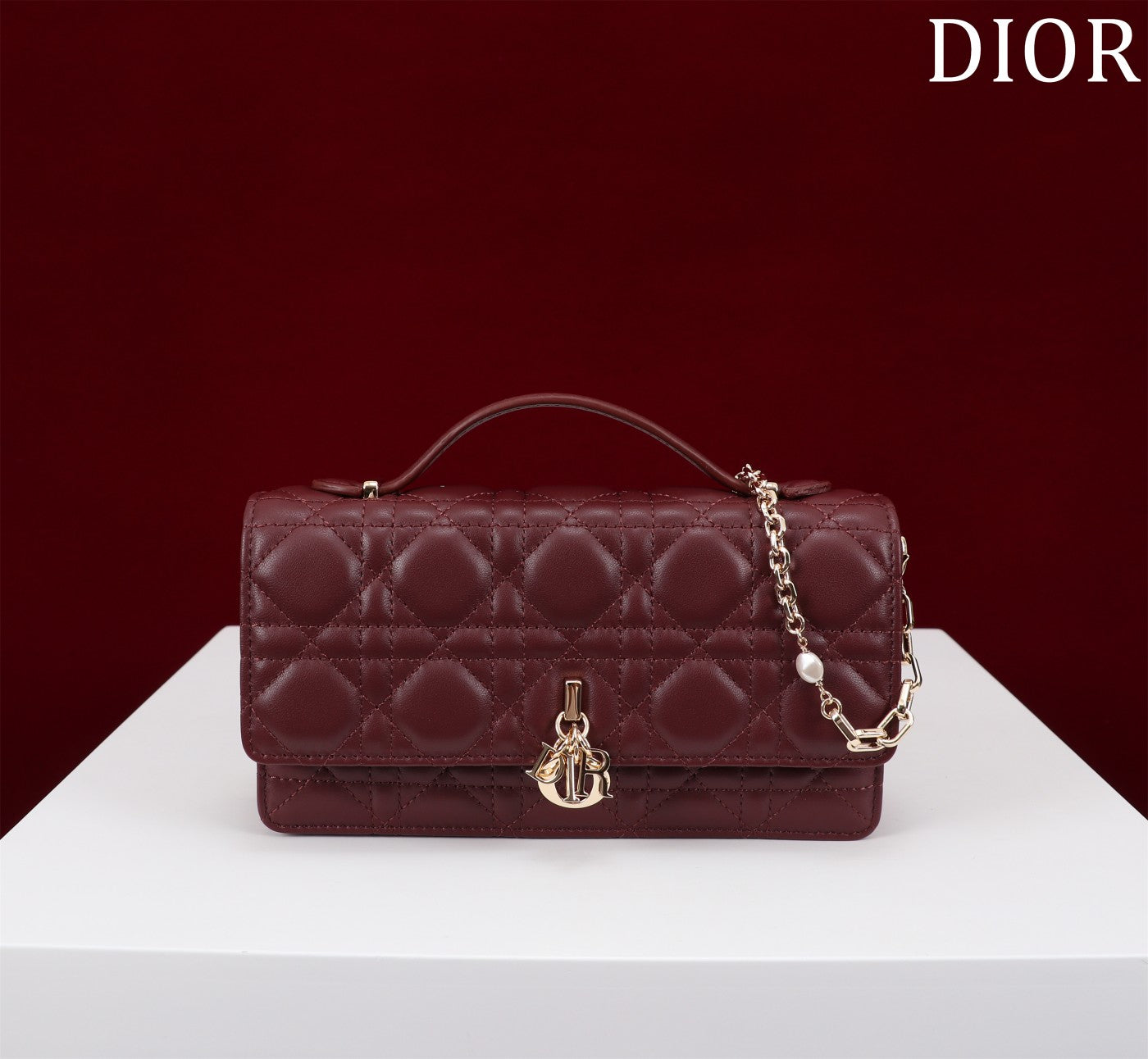 DIOR my mini 21 burgundy lambskin