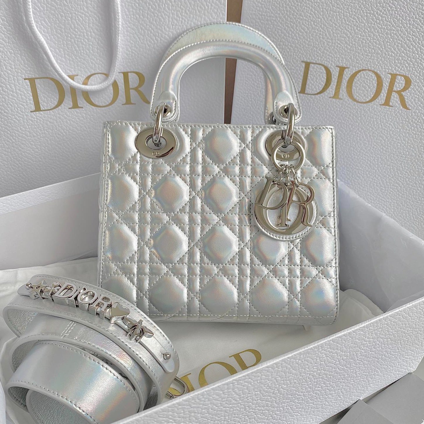 DIOR SMALL LADY 20 SILVER METALIC LAMBSKIN