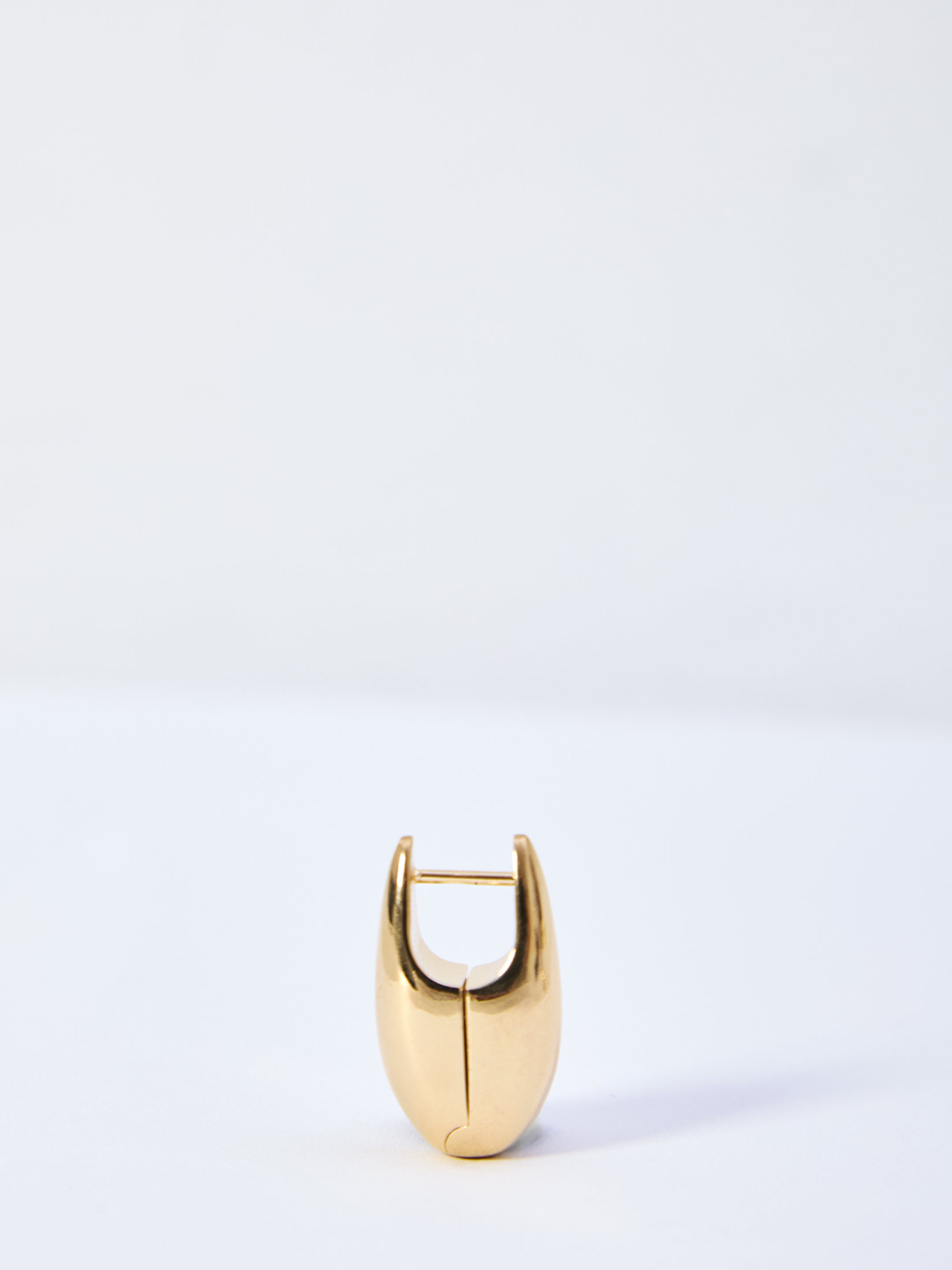 BOTTEGA VENETA Elegant Golden Earrings for Women