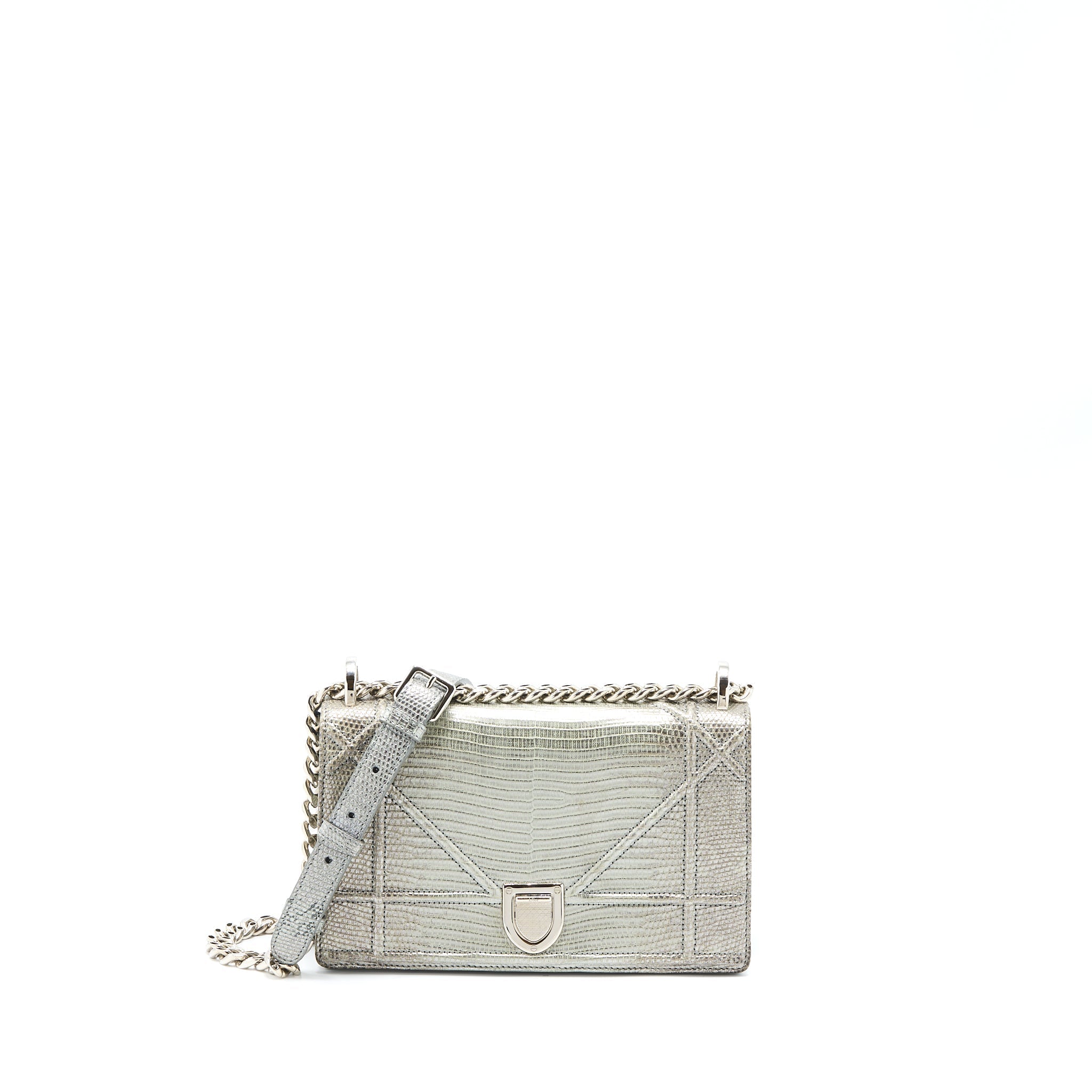 Dior Small Diorama Lizard Metallic Silver SHW