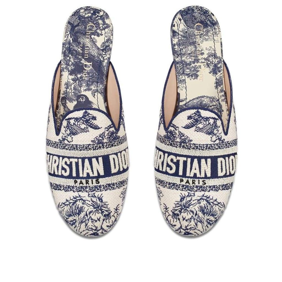 Dior Toile de Jouy Motif Flat Mules in Blue