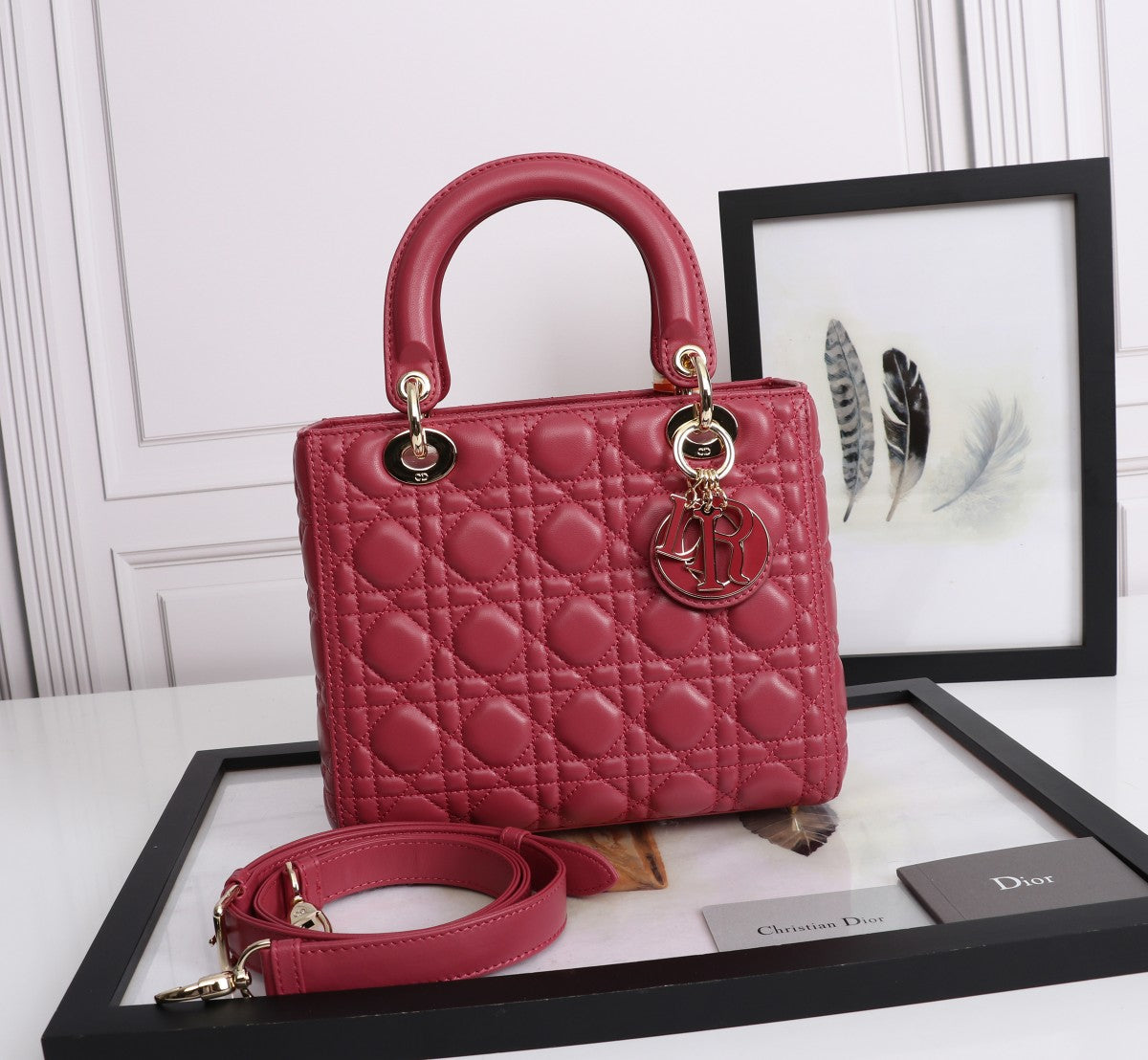 Christian Dior Medium Lady Dior Bag