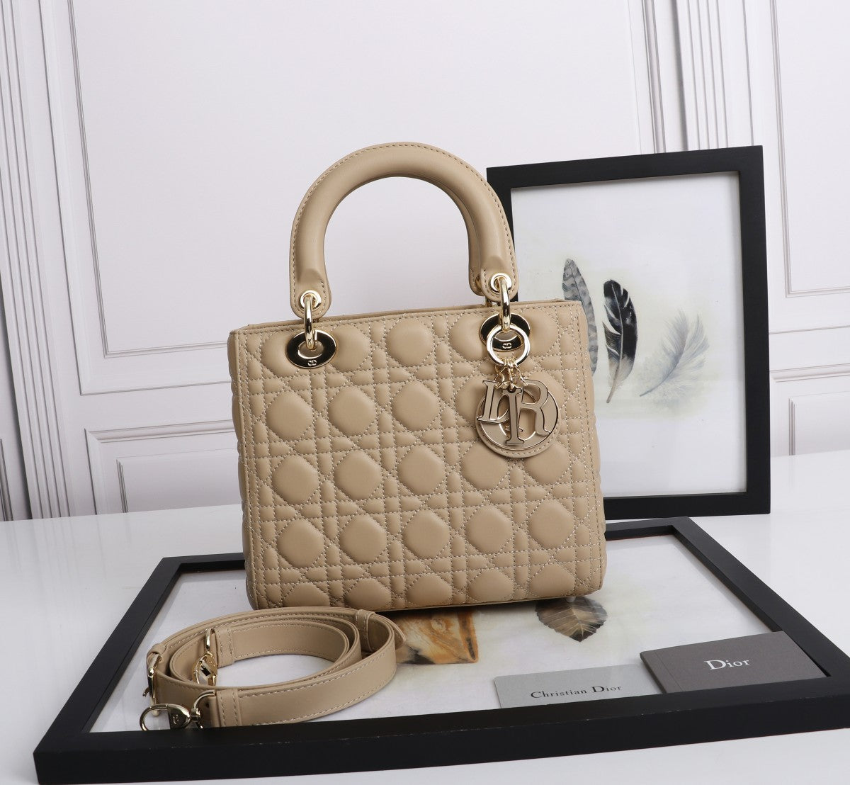 Christian Dior Medium Lady Dior Bag