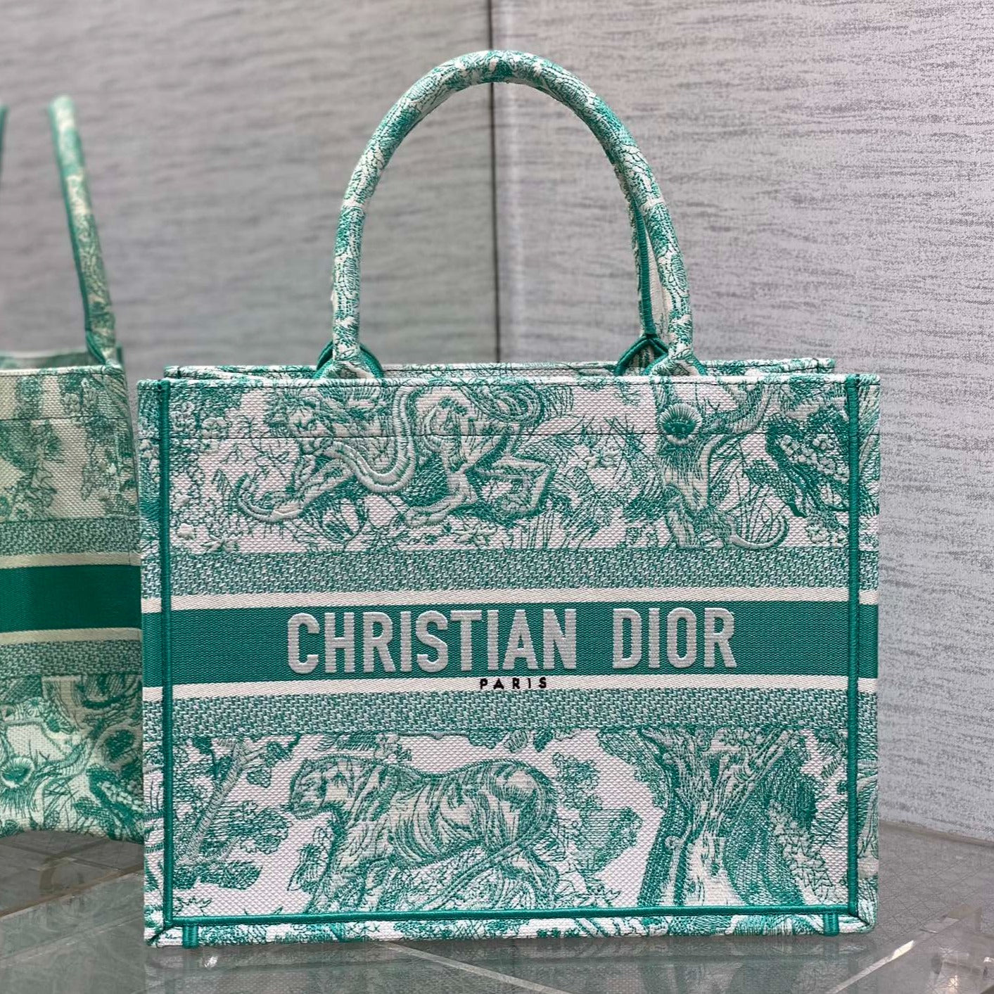 DIOR medium DIORiviera book tote 36 aquamarina tiger embroidery canvas