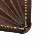 Louis Vuitton Damier Zippy Wallet N41661