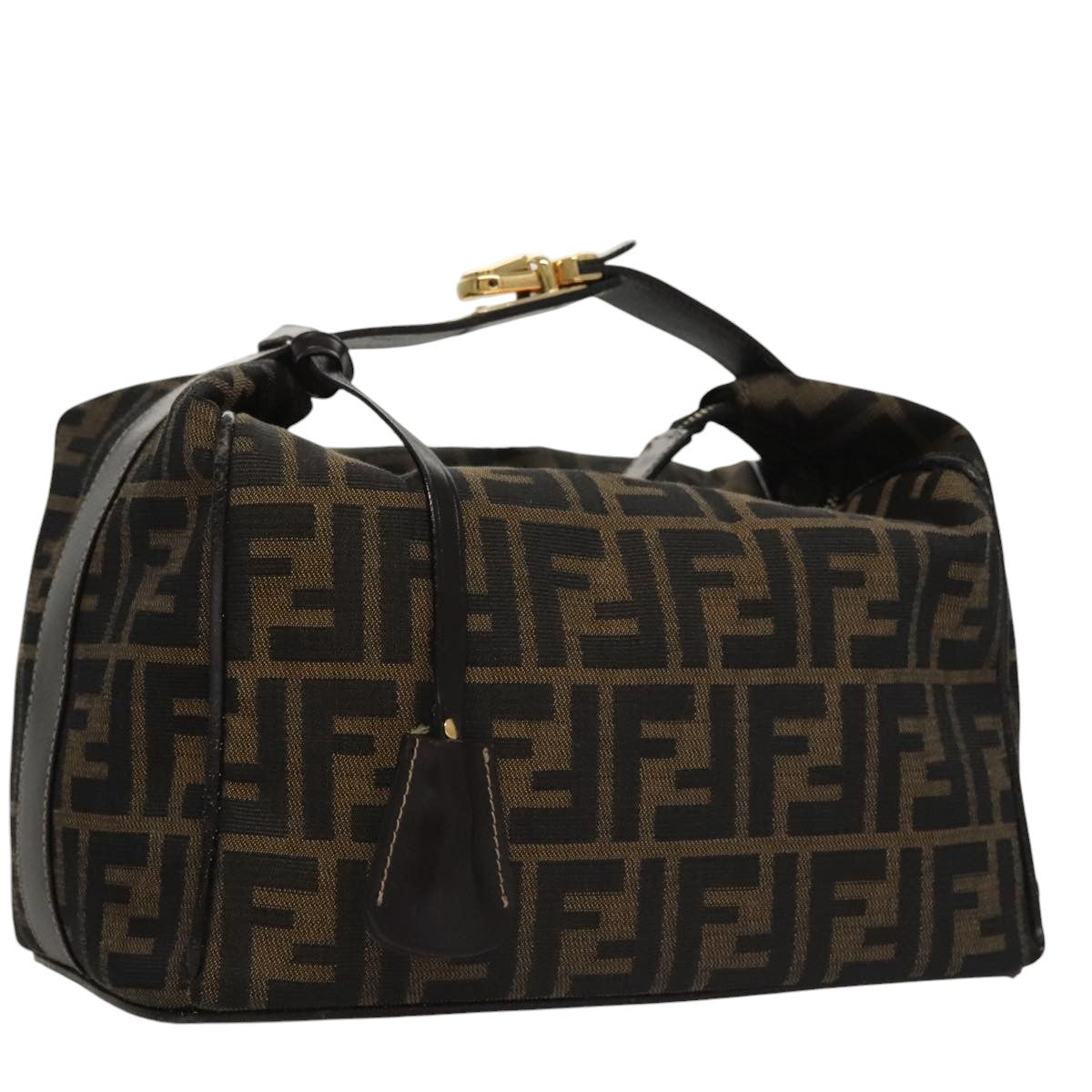 FENDI Zucca Canvas Vanity Pouch Nylon Brown Black gold110674