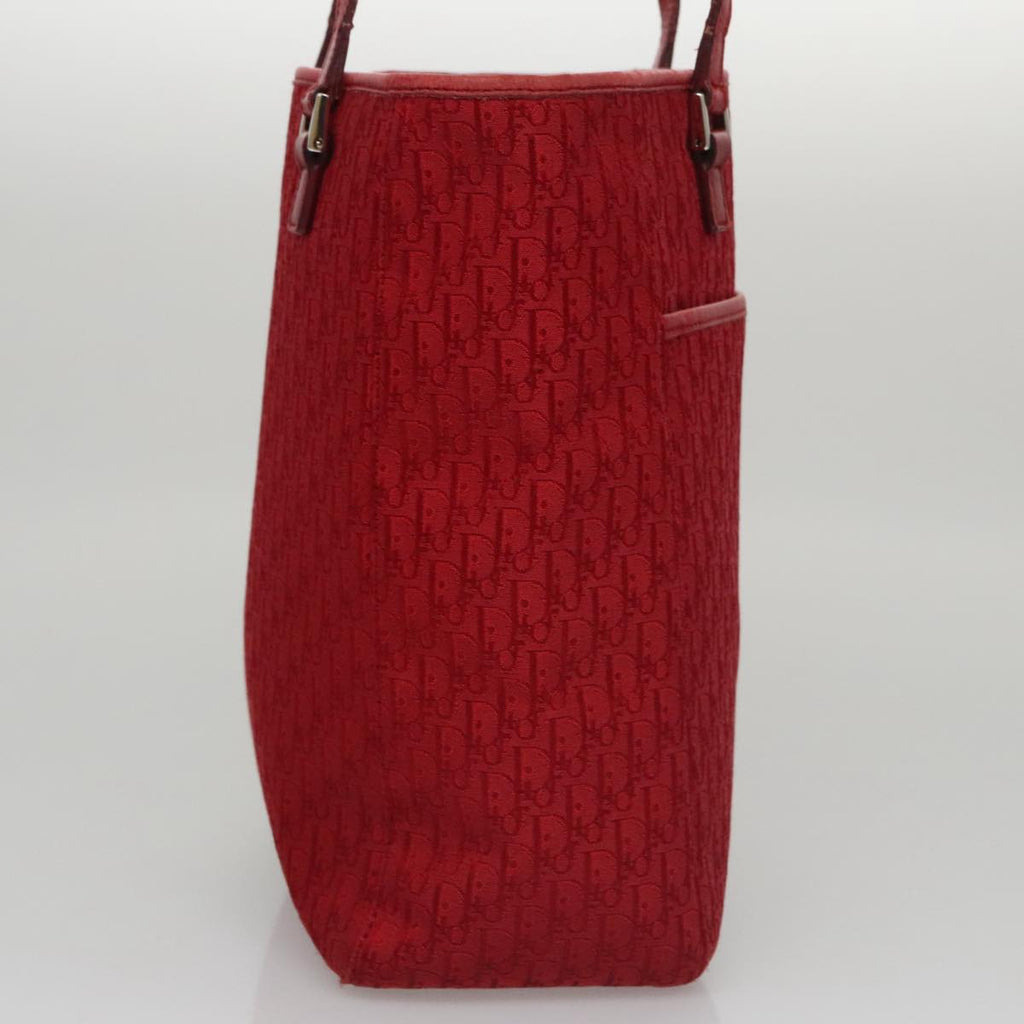 Dior Trotter  Canvas Tote Bag (Pre-Owned)