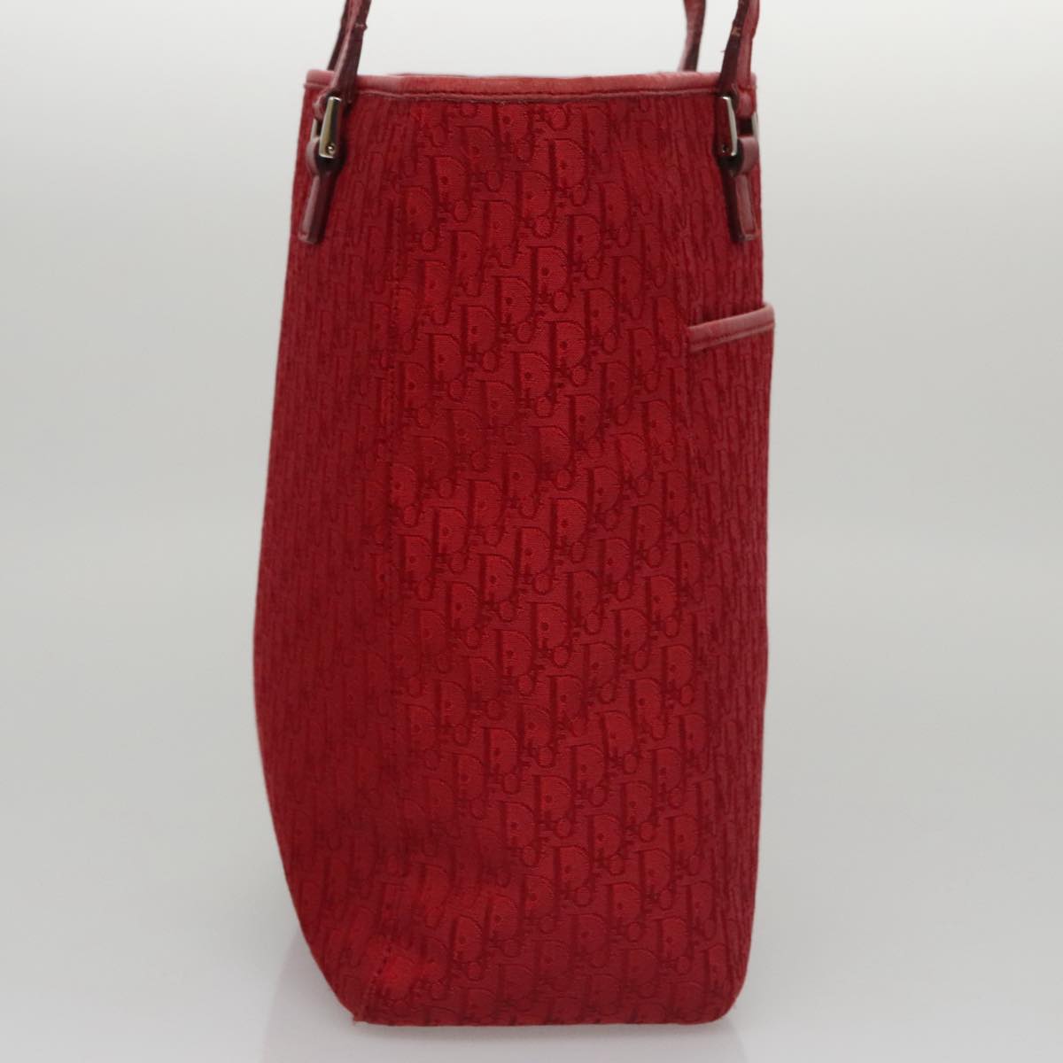 Dior Trotter  Canvas Tote Bag (Pre-Owned)