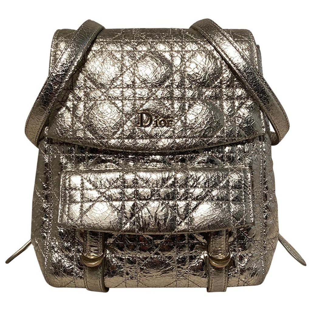 Dior Stardust Silver Leather Backpack