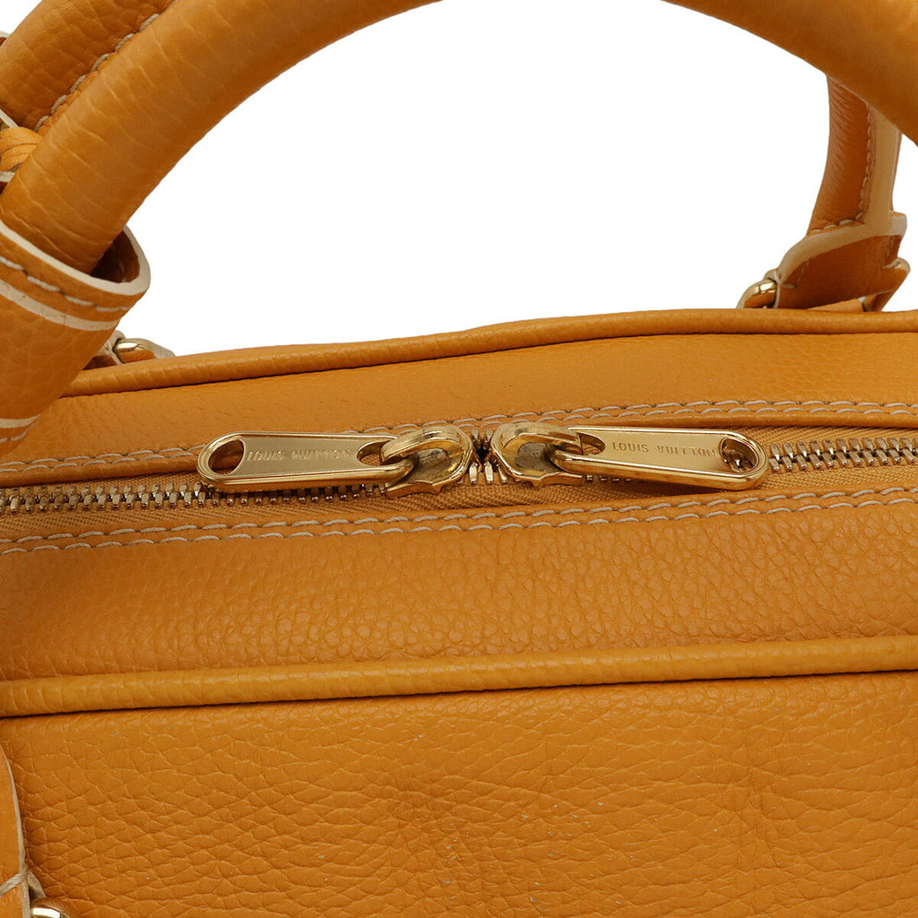 Louis Vuitton Tobaco Leather Travel Bag