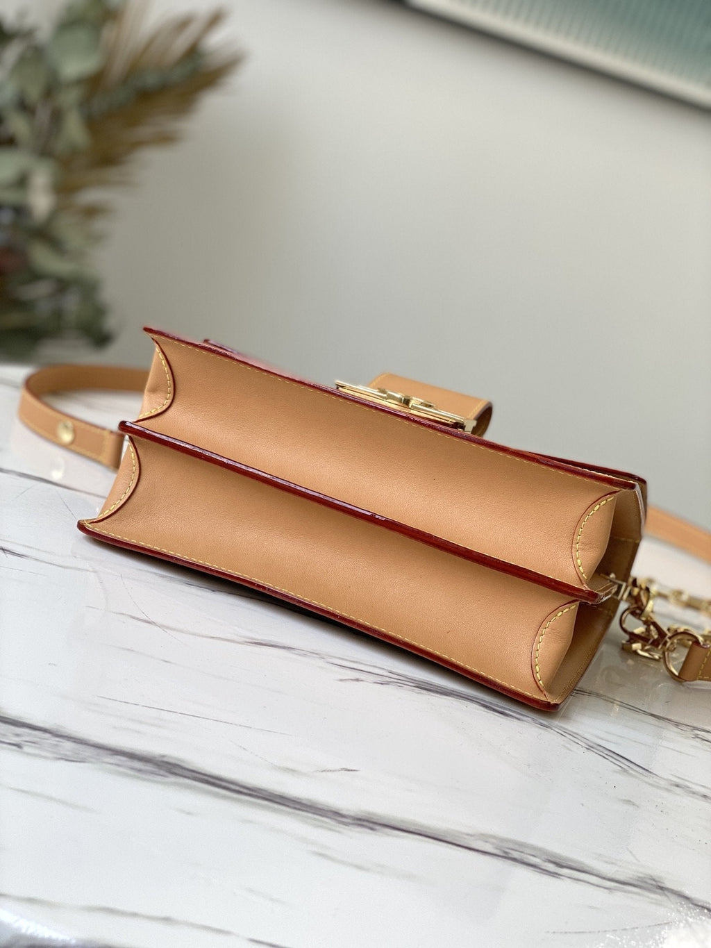 Louis Vuitton SINCE 1854 DAUPHINE 25CM CHAIN WALLET