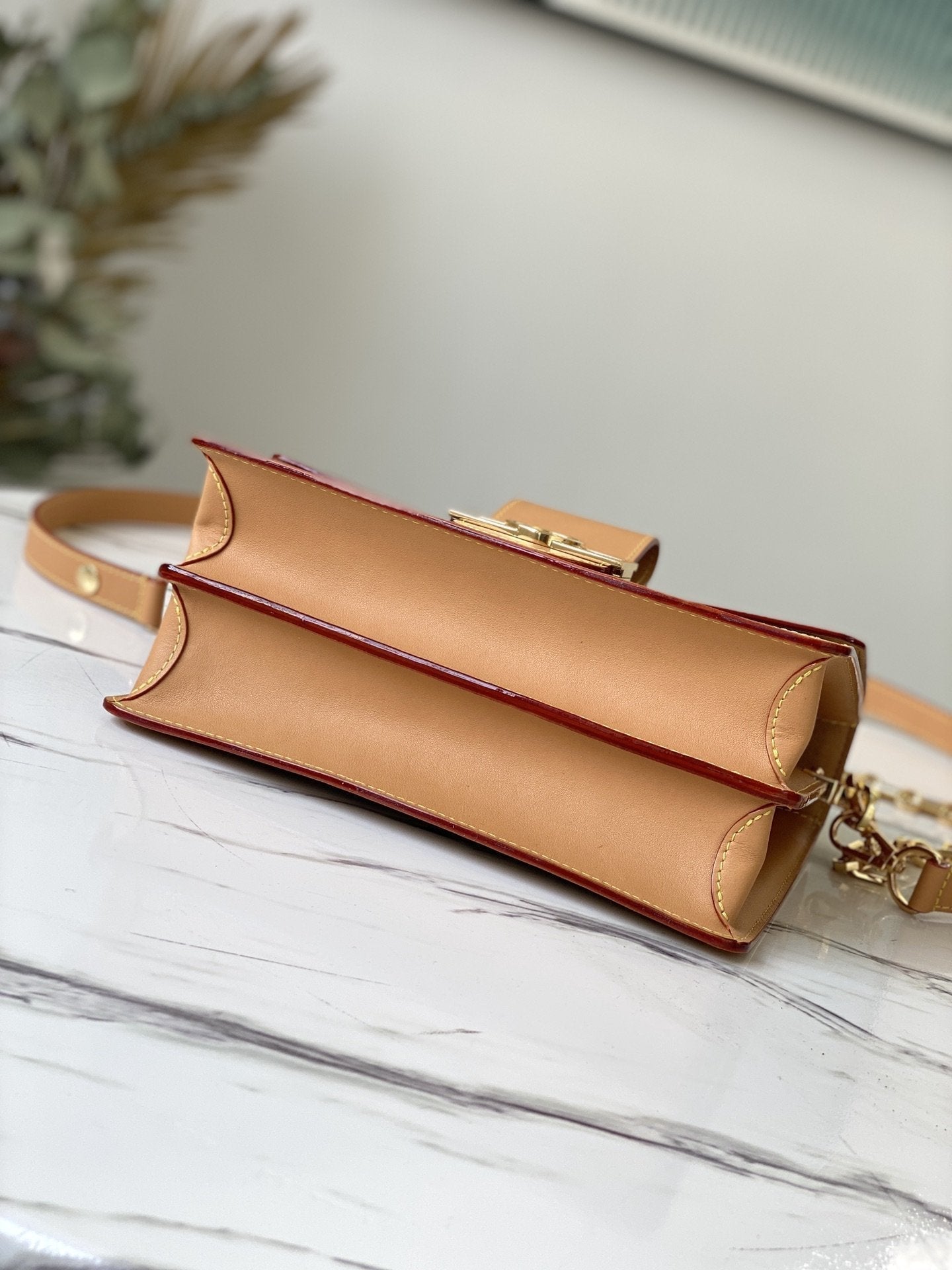 Louis Vuitton SINCE 1854 DAUPHINE 25CM CHAIN WALLET