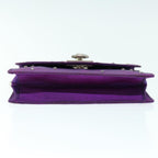 CELINE Clutch Bag
