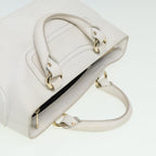 CELINE Boogie Handbag
