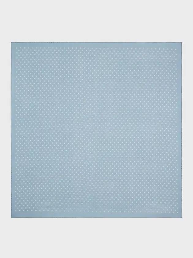 CELINE Triomphe Square Silk Twill Scarf Grey Blue