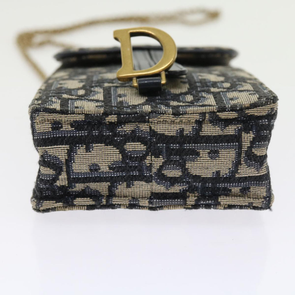 Dior Saddle Clutch Bag