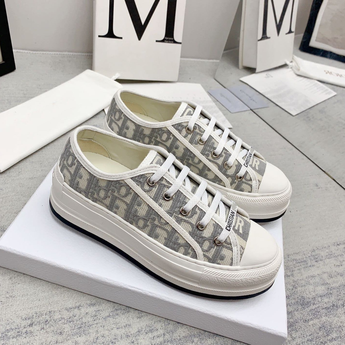 DIOR walkn 45 grey white oblique embroidery canvas