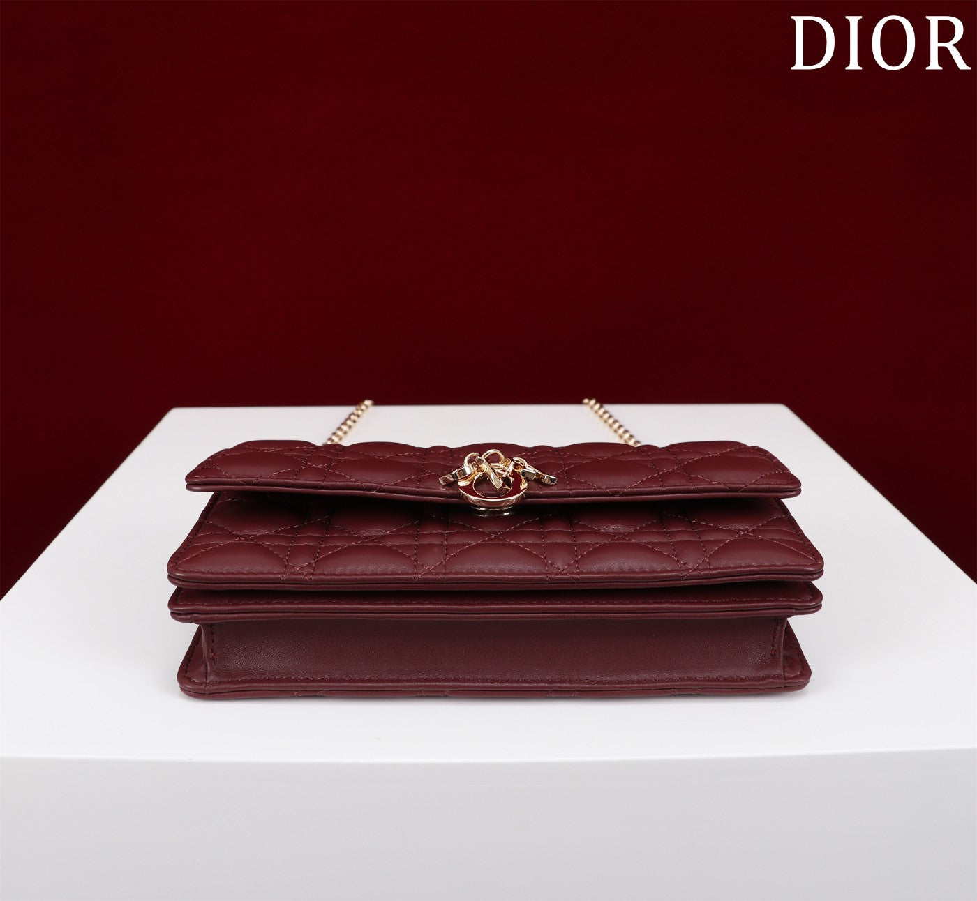 DIOR my mini 21 burgundy lambskin