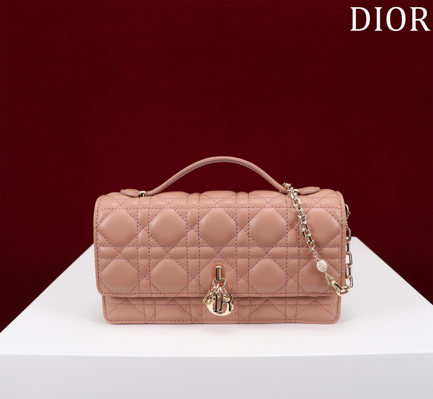 DIOR my mini 21 rose lambskin