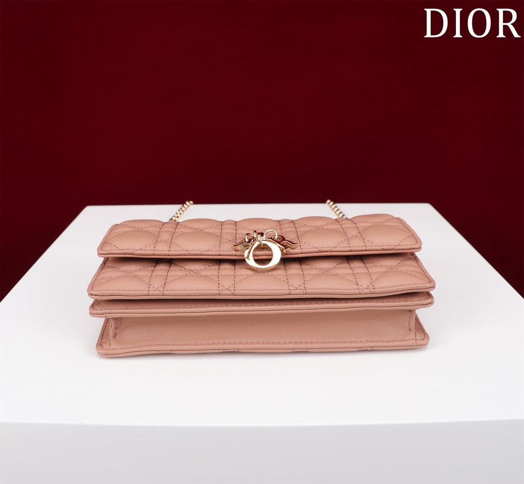 DIOR my mini 21 rose lambskin