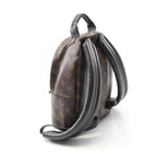 Louis Vuitton Palm Springs PM Monogram Coated Canvas Backpack