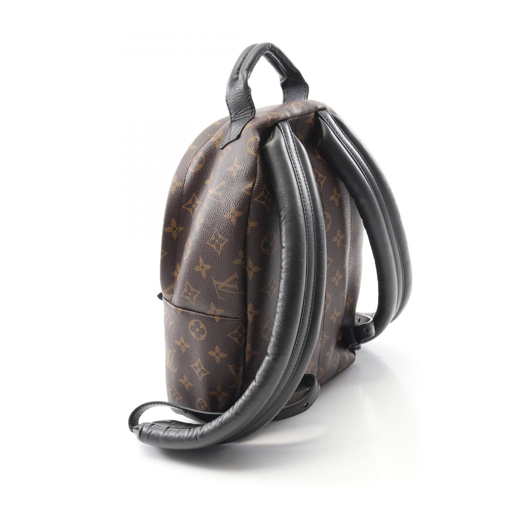 Louis Vuitton Palm Springs PM Monogram Coated Canvas Backpack