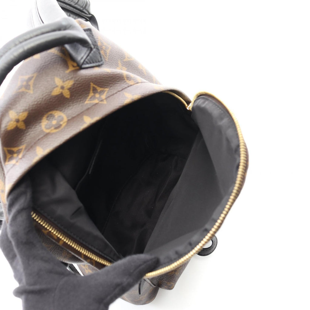 Louis Vuitton Palm Springs PM Monogram Coated Canvas Backpack