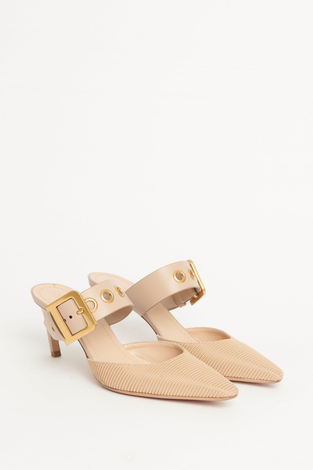 Beige Leather & Mesh D-Dior Pumps