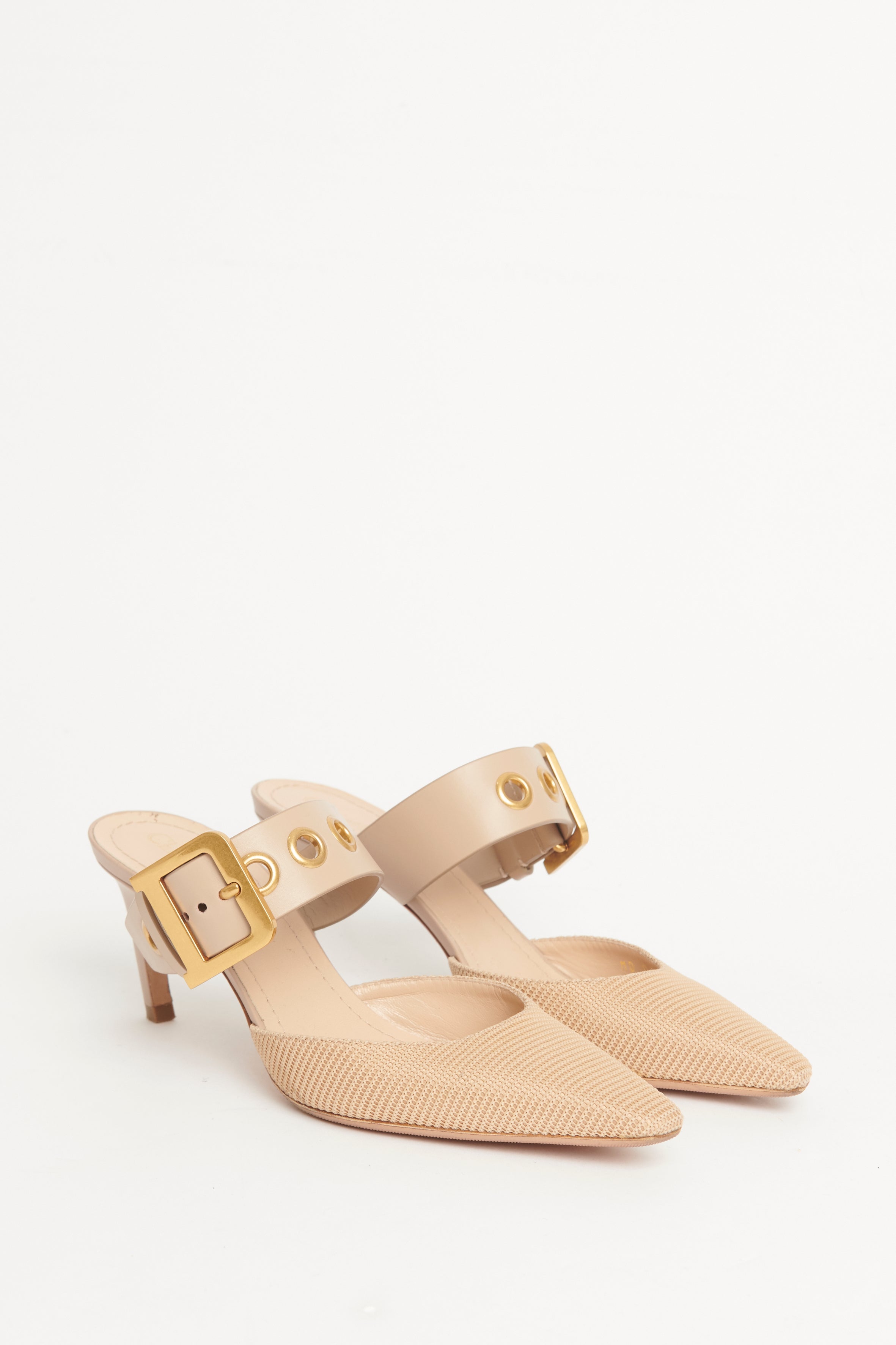 Beige Leather & Mesh D-Dior Pumps