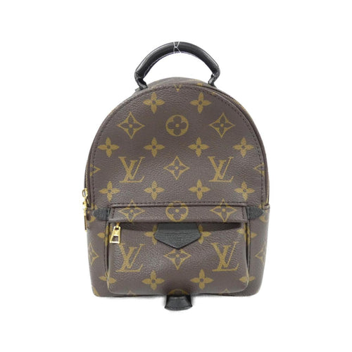 Louis Vuitton Palm Springs Monogram Backpack