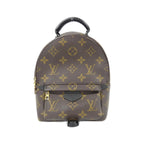 Louis Vuitton Palm Springs Monogram Backpack