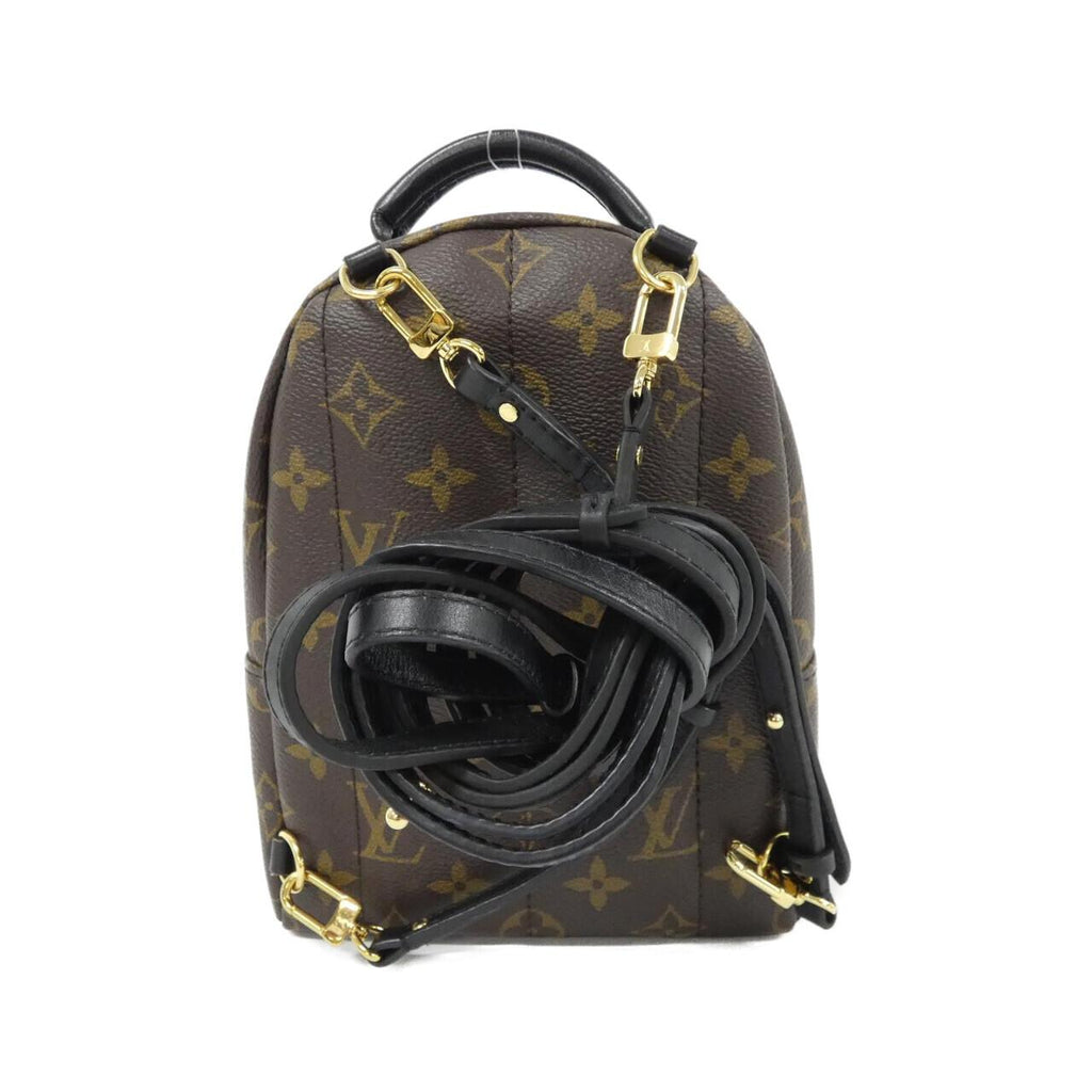 Louis Vuitton Palm Springs Monogram Backpack