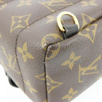 Louis Vuitton Palm Springs Monogram Backpack