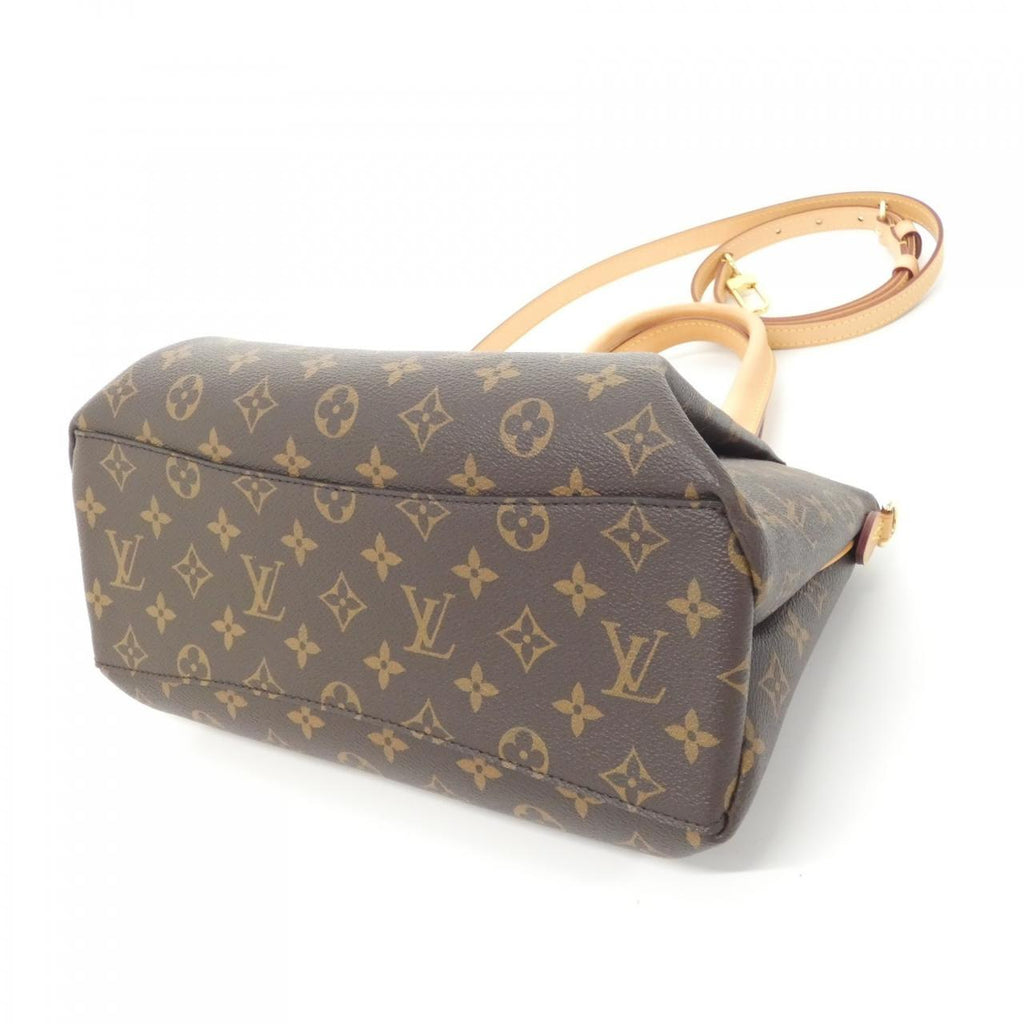 Louis Vuitton Monogram Bag