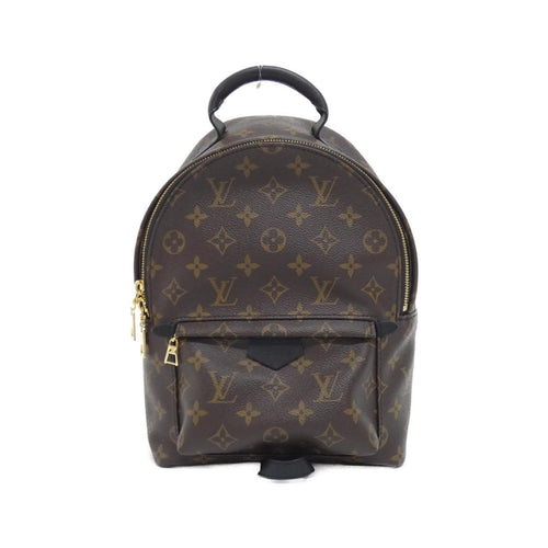 Louis Vuitton Palm Springs Monogram Backpack