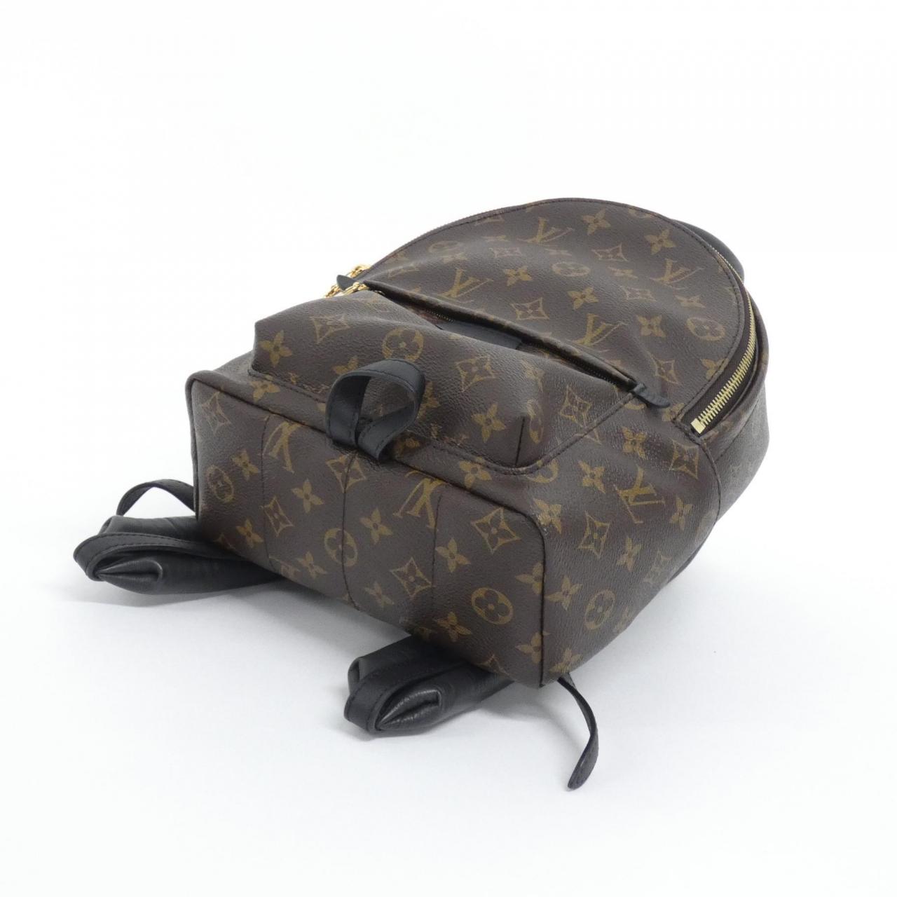 Louis Vuitton Palm Springs Monogram Backpack