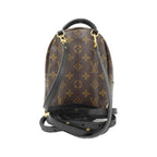 Louis Vuitton Palm Springs Monogram Backpack