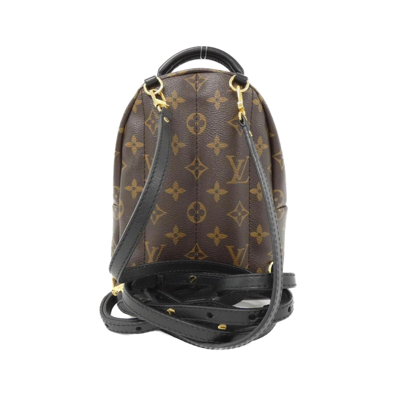 Louis Vuitton Palm Springs Monogram Backpack