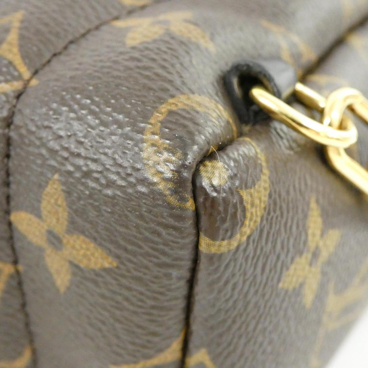 Louis Vuitton Palm Springs Monogram Backpack