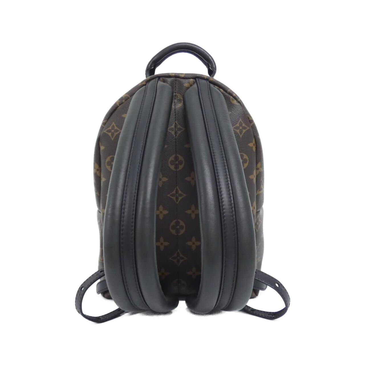 Louis Vuitton Palm Springs Monogram Backpack