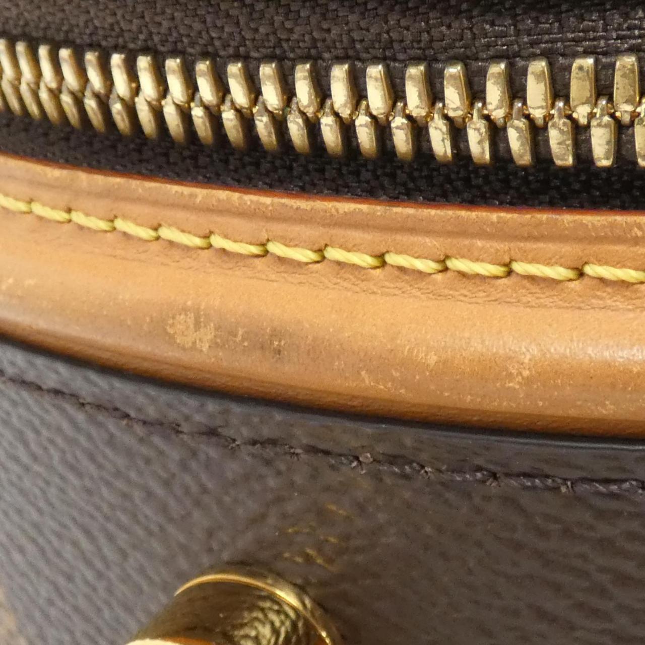 Louis Vuitton Monogram Giant Bag