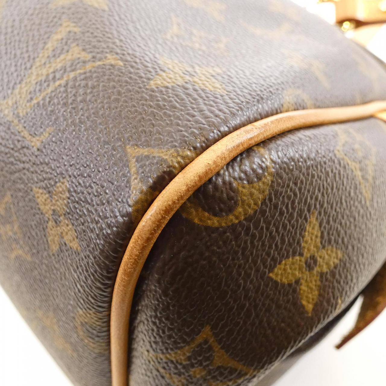 Louis Vuitton Monogram Shoulder Bag