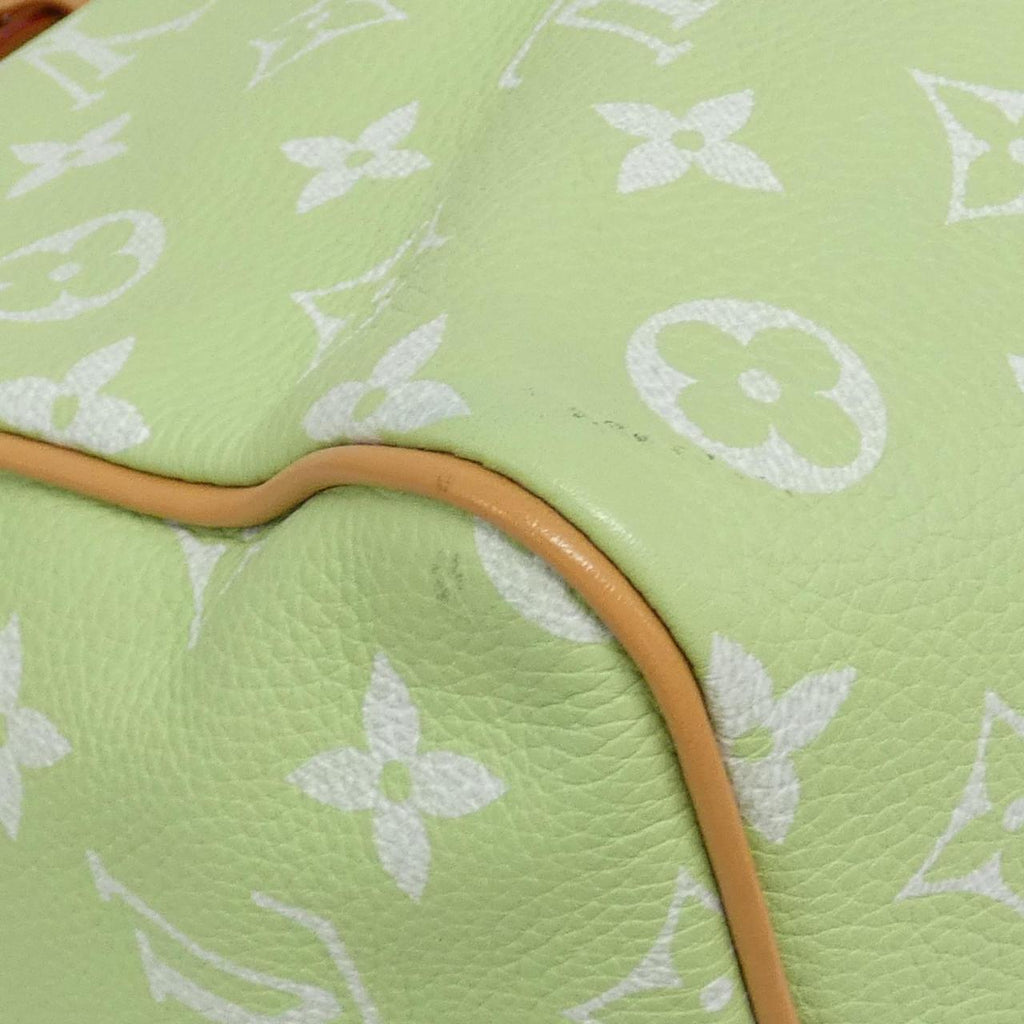 Louis Vuitton Monogram 2way Bag