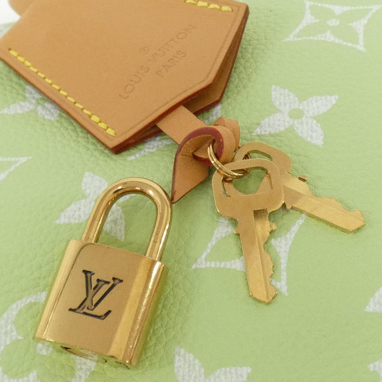 Louis Vuitton Monogram 2way Bag