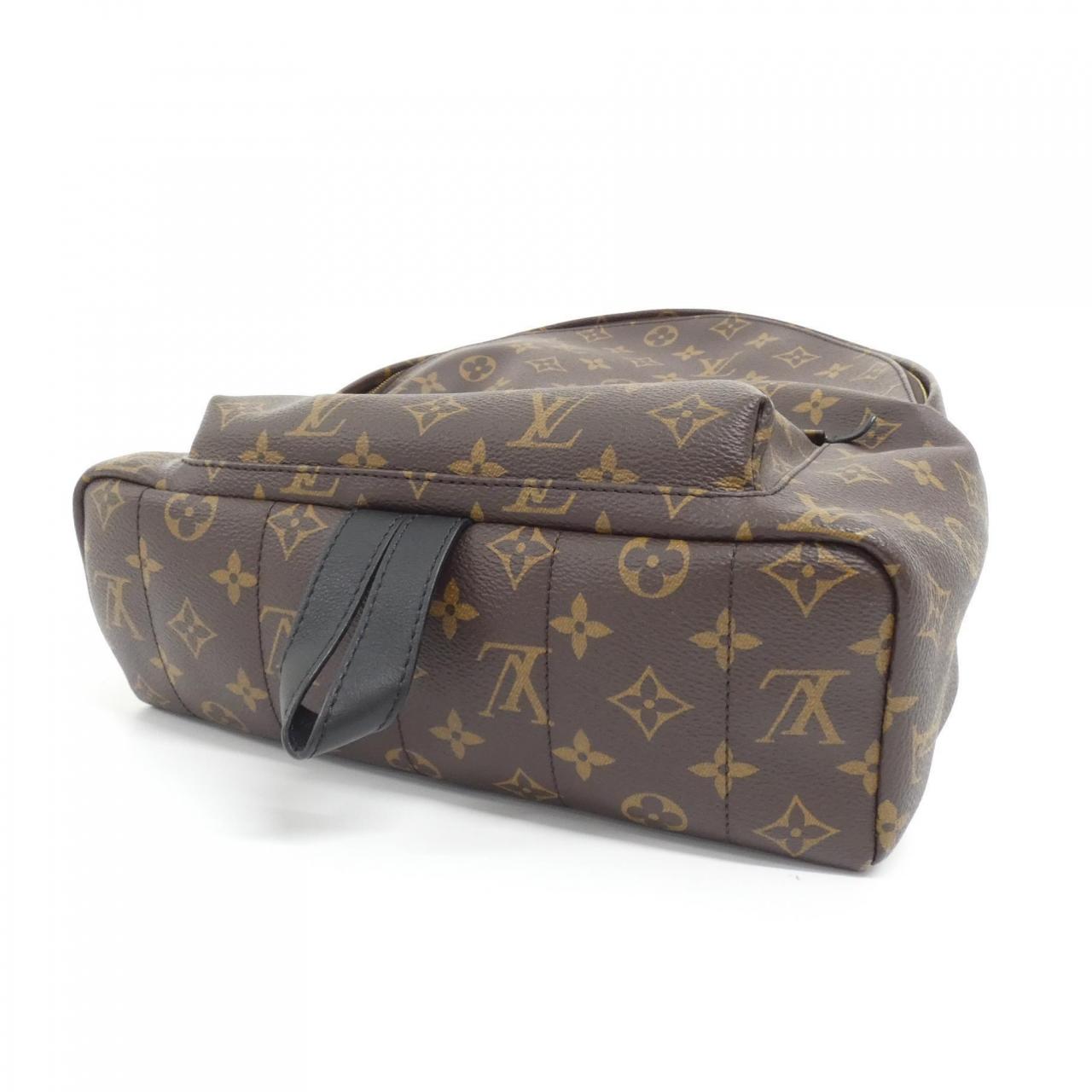 Louis Vuitton Palm Springs Monogram Backpack