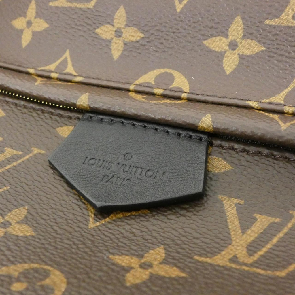 Louis Vuitton Palm Springs Monogram Backpack