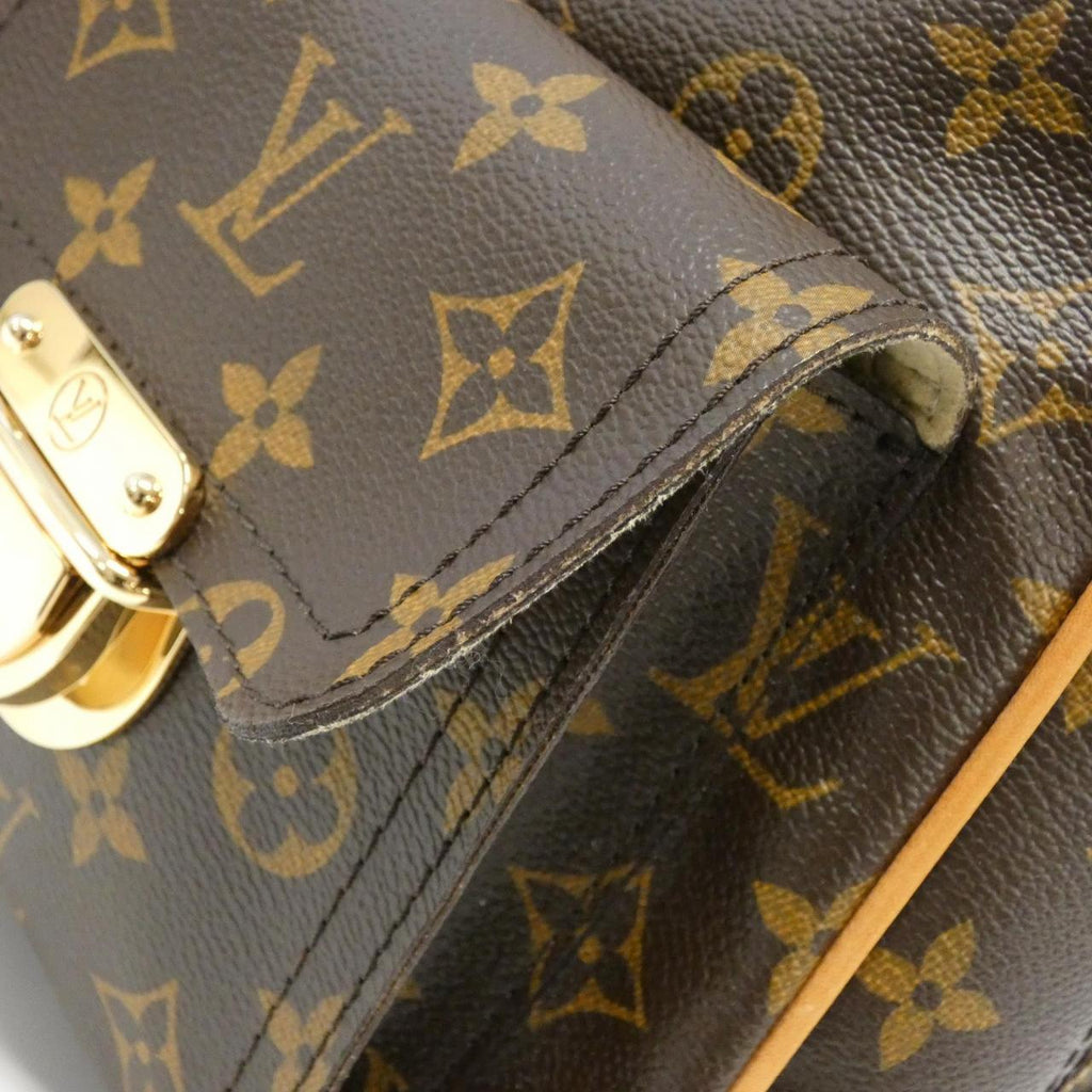 Louis Vuitton Monogram Coated Canvas Bag