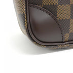 Louis Vuitton Amazon Damier Shoulder Bag