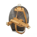 Louis Vuitton Monogram Coated Canvas Backpack